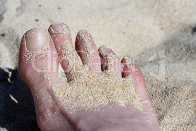 Am Strand (GbR)