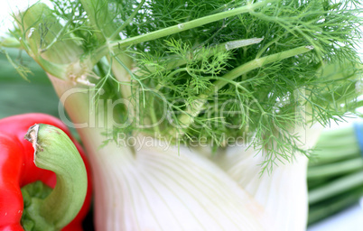 Fenchel und Paprika