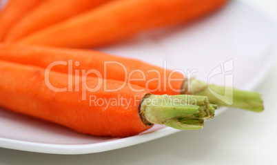 Karotten
