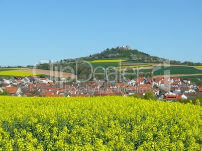 Rapsfeld am Otzberg