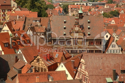 Blick über Tübingen