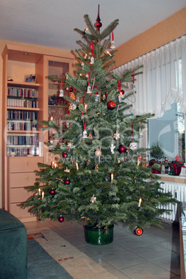 Weihnachtsbaum (GbR)
