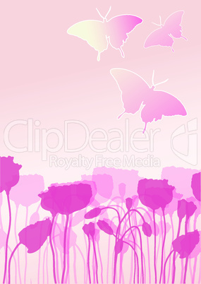 Poppy field pink butterfly