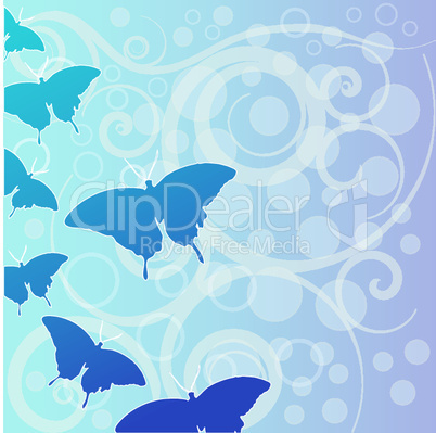 vector butterfly illustration