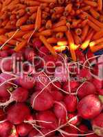 Radieschen und Karotten