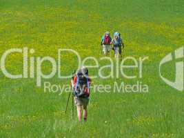 Wanderer auf einer Wiese