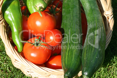 Salatgurken, Tomaten und Paprika