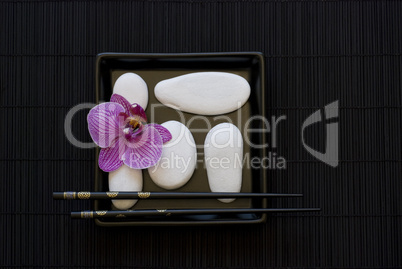 Orchid and white pebble