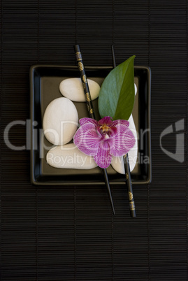 Orchid and white pebble