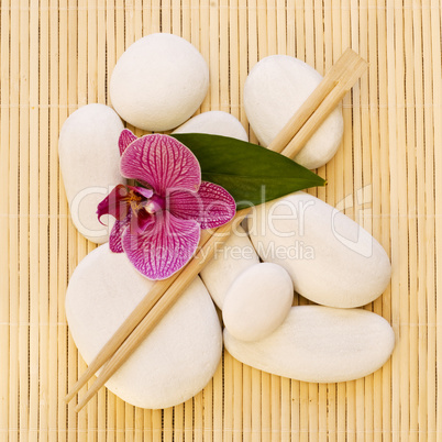 Orchid and white pebble