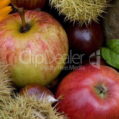 autumn still life