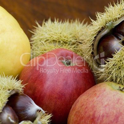 autumn still life