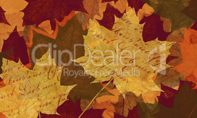 maple leaf background