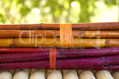 Bamboo sticks still-life