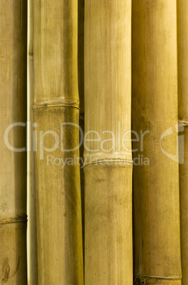 bamboo sticks