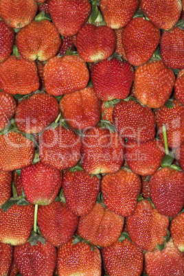 Erdbeeren