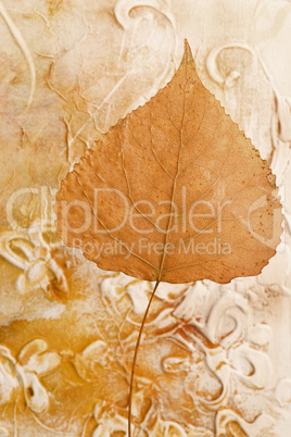 pressed leaf