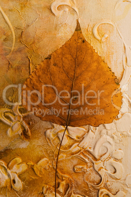 pressed leaf