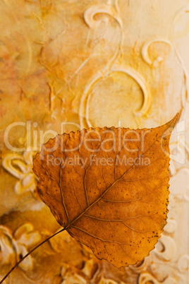 pressed leaf