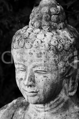 Buddha Statue