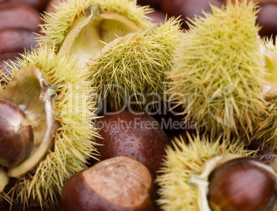 Chestnuts