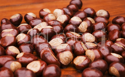 chestnuts in autmn