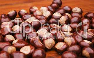 chestnuts in autmn