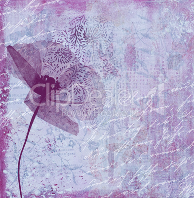 digital illustration poppy flower