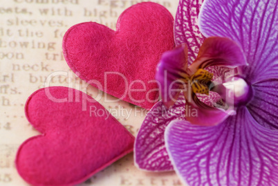orchid flower and hearts
