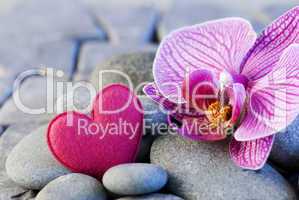 pink heart and orchid