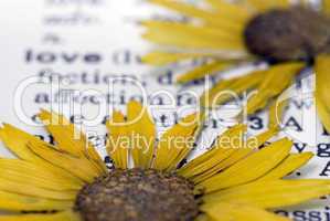 flower on book