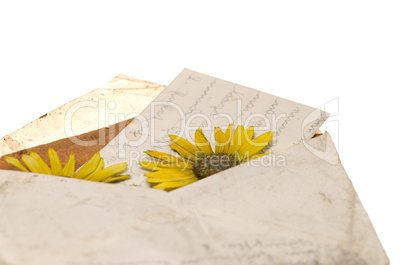 pressed flower in letter