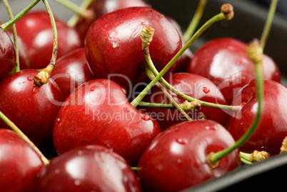 fresh cherries