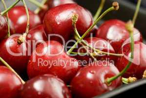 fresh cherries