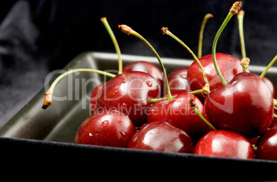 fresh cherries