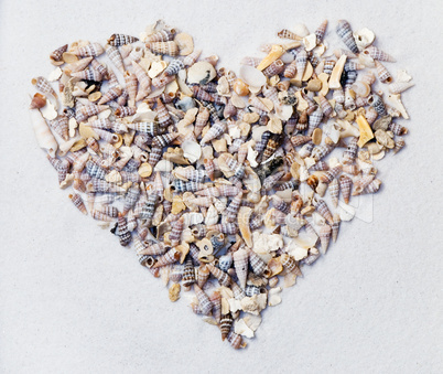 Heart of shells