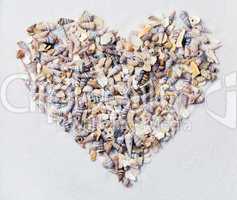 Heart of shells