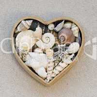 sea shells and heart
