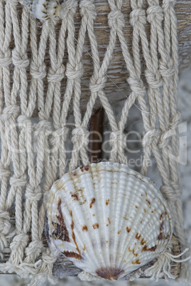 fishnet decoration