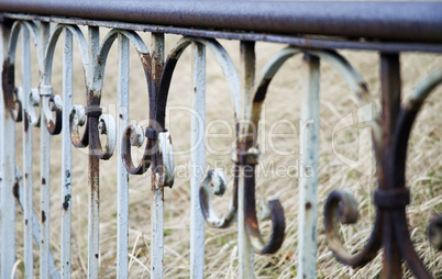 Old iron fence