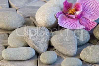 stone heart and orchid