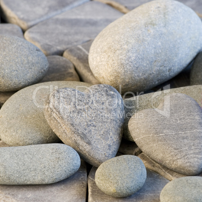 stone heart and orchid