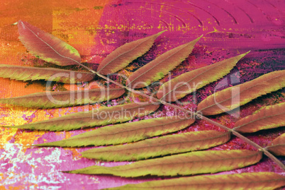 dry leaf on artwork background