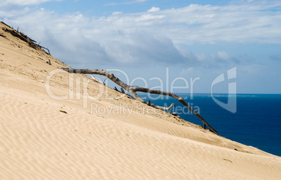 Dune at Rainbow Beach/Queensland/Australia