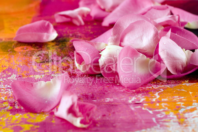 petal on artwork background