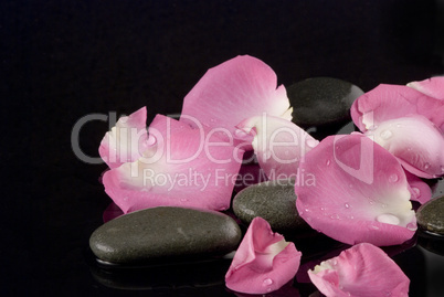 rose petals and stones