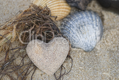sandheart and shells