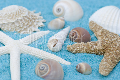 beach collection