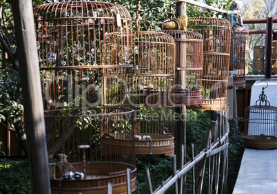 Bird cages in china