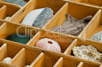 old wooden showcase